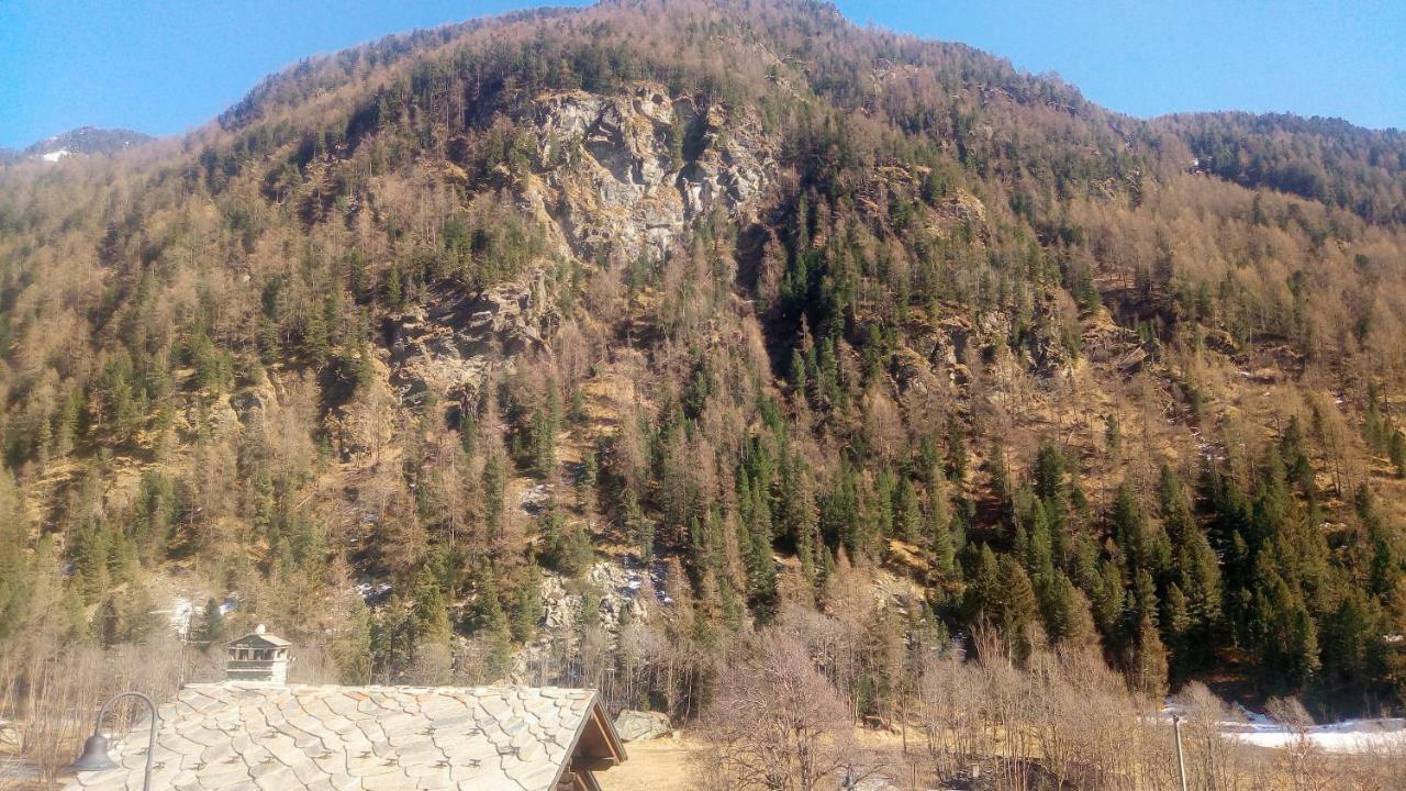 Nido Apartment Champoluc Bagian luar foto